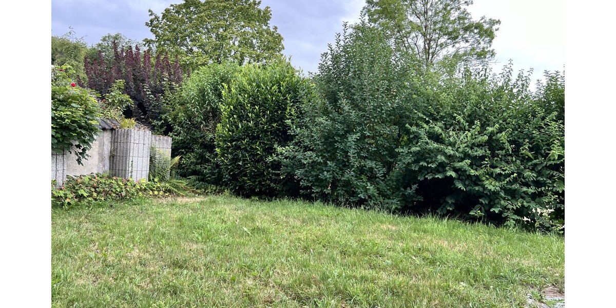 Zugehörige Gartenfläche