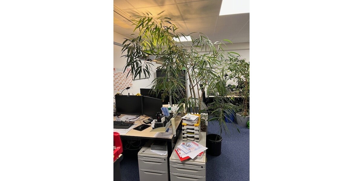 Büro2