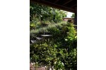 Direkt am Naturschutzgebiet! Modernes Haus mit Einliegerwohnung, Aufzug und vielen Extras! - Einfamilienhaus Königswinter | Angebot:24598297